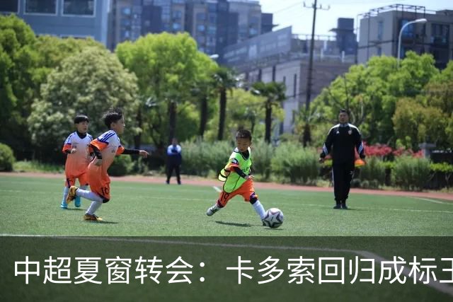 中超夏窗转会：卡多索回归成标王 山东重庆零引援