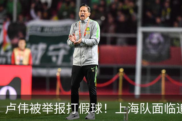 卢伟被举报打假球！上海队面临追罚，张镇麟坑惨球队